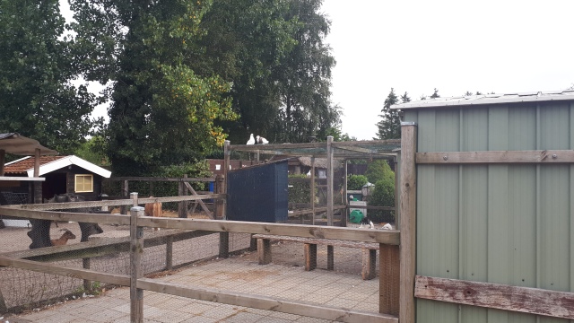 ../fotos/het_verlaat_2018/2018-07-31 10.42.40.jpg